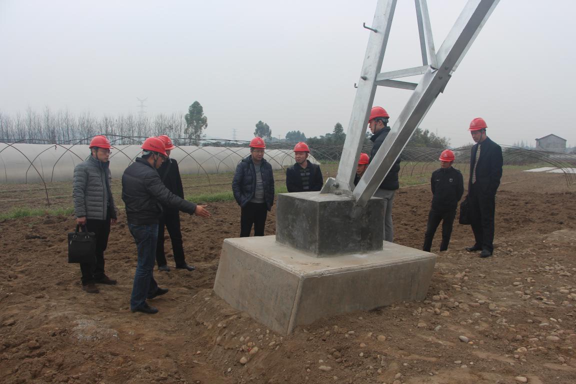 浙江送變電工程公司領導、專家蒞臨我 施工項目部參觀考察
