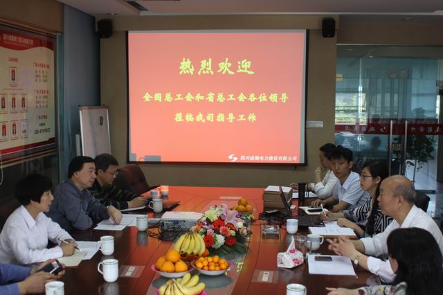 全國總工會民主管理部副部長暨省、市總工會領導蒞臨公司調研、指導工作