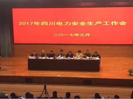 公司總經理陳云榮獲2016年度四川電力安全生產先進個人