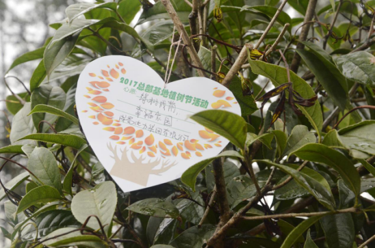 大地回春 植樹造林 成蜀電力集團積極參加園區植樹活動