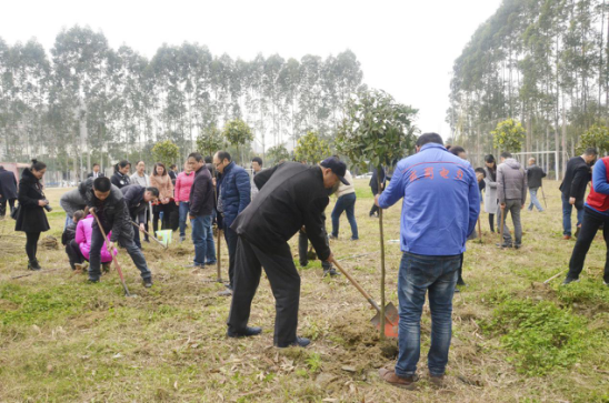 大地回春 植樹造林 成蜀電力集團積極參加園區植樹活動