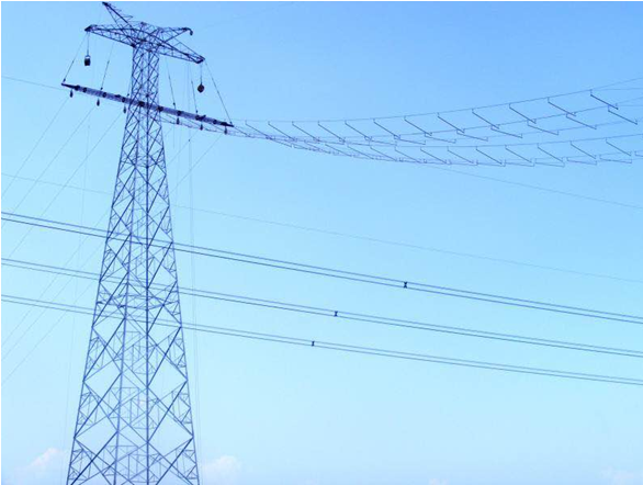 陳云總經理陪同國網省電力公司副總經理劉勇現場檢查工作