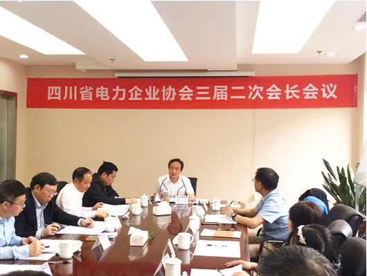 總經理陳云出席川電工程協會三屆二次會長工作會議