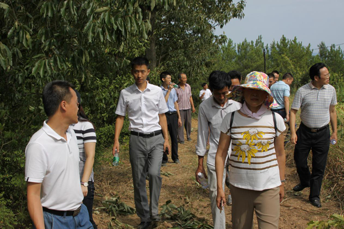參與精準扶貧 電力企業助推革命老區村道建設——集團領導赴巴中市參與“駐村幫扶”項目調研