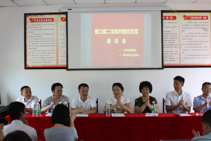 參與精準扶貧 電力企業助推革命老區村道建設——集團領導赴巴中市參與“駐村幫扶”項目調研