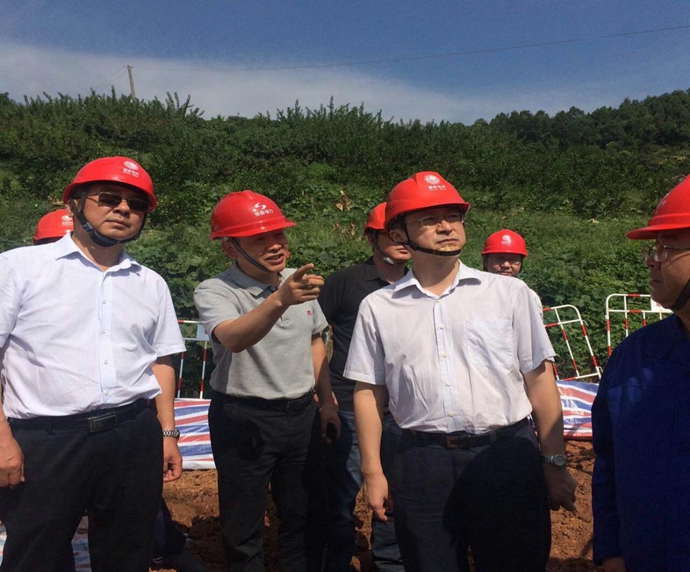 國網四川省電力公司副總經理劉勇到成蜀電力500kV桃資線施工現場檢查工作
