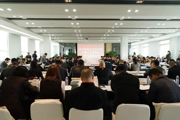 集團總經理陳云出席四川省電力企業協會三屆二次理事會
