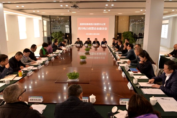 陳云總經理參加四川能源監管辦組織的四川電力民營企業代表座談會