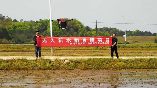 中機航飛無人機實現水稻直播