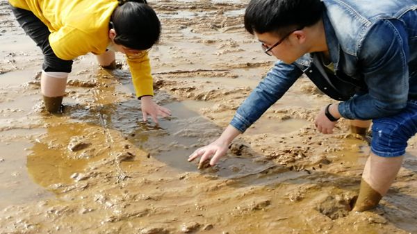 中機航飛無人機實現水稻直播