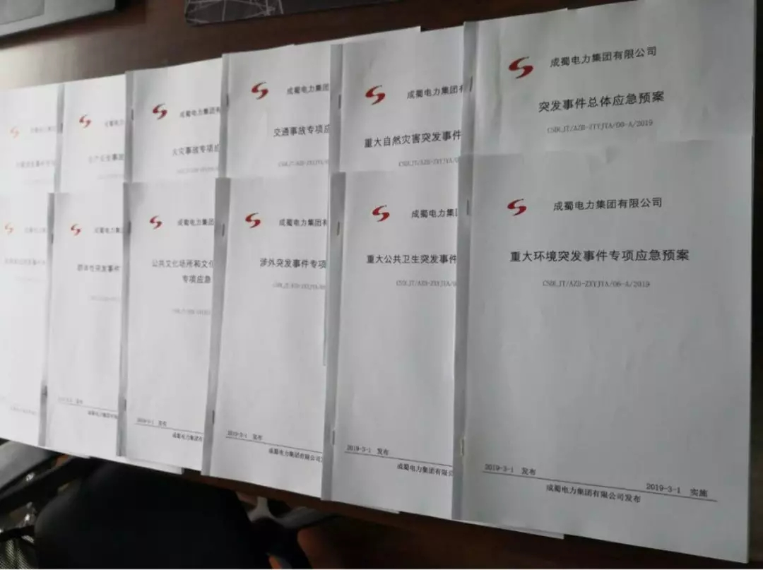 來自成蜀電力集團的2019答卷
