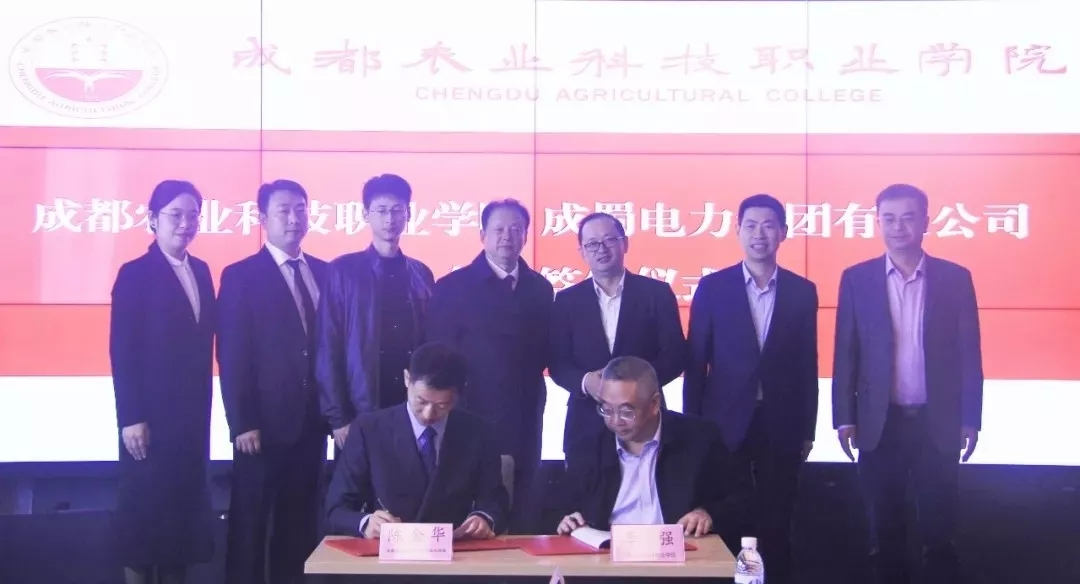 來自成蜀電力集團的2019答卷