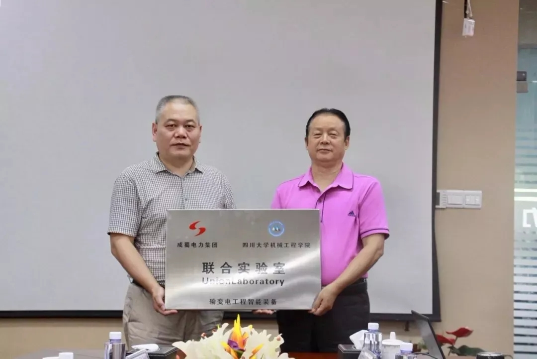 來自成蜀電力集團的2019答卷