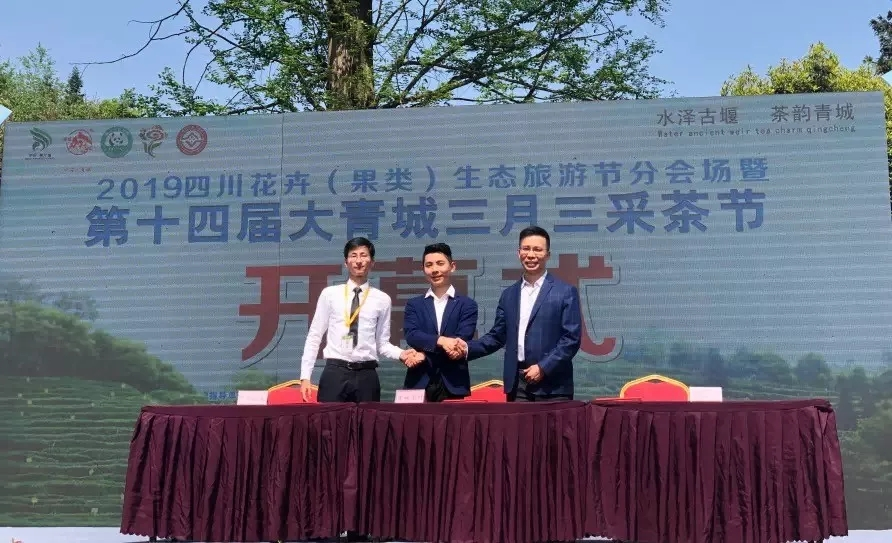 來自成蜀電力集團的2019答卷