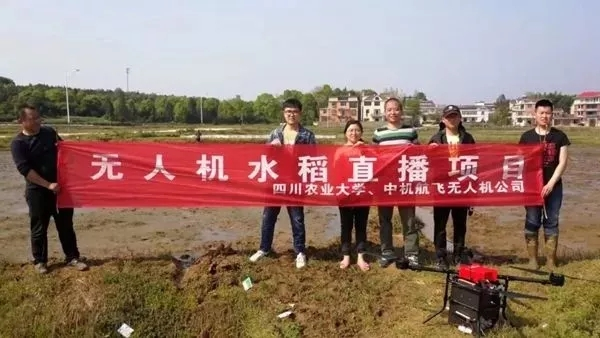 來自成蜀電力集團的2019答卷