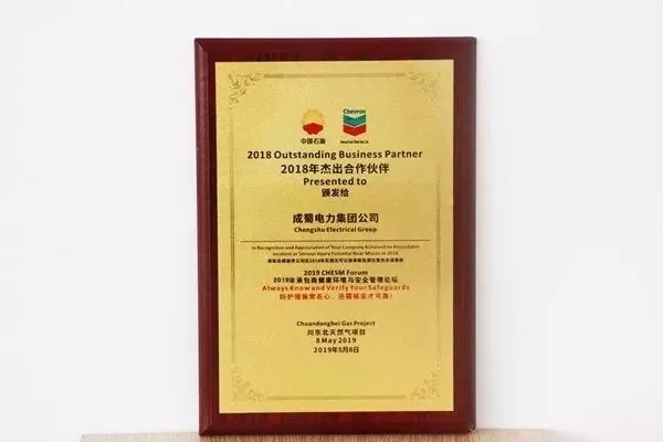 來自成蜀電力集團的2019答卷