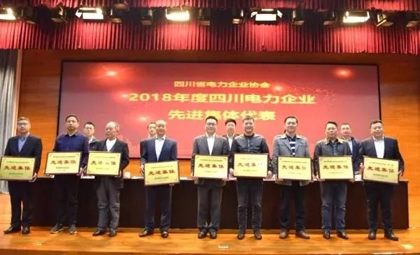 來自成蜀電力集團的2019答卷