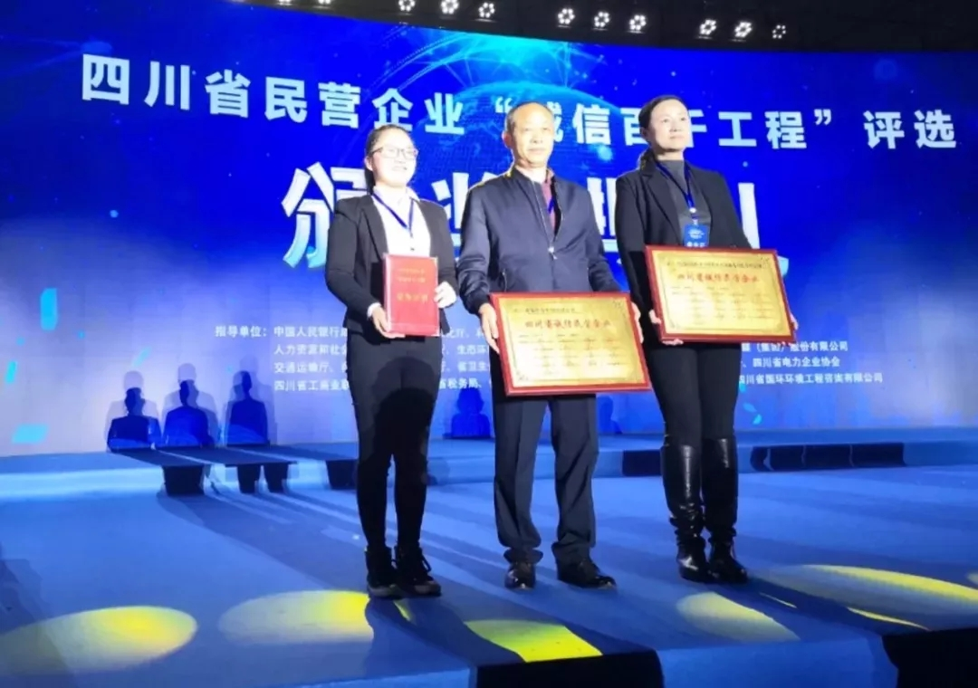 來自成蜀電力集團的2019答卷