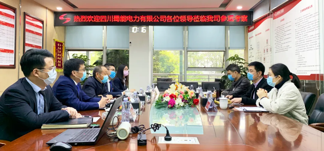 四川蜀能電力有限公司與成蜀電力集團開展黨建工作研討會
