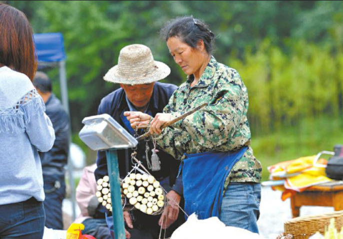 李家巖水庫城鄉供水進水閘開工大吉