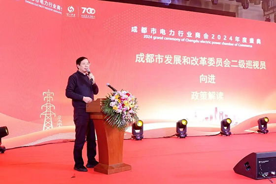 集團榮獲成都市電力行業商會兩項榮譽