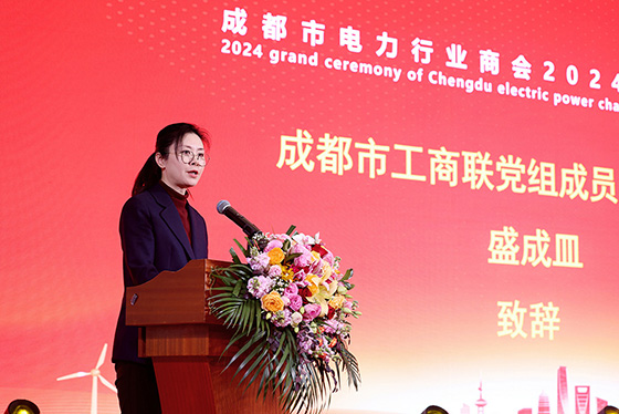 集團榮獲成都市電力行業商會兩項榮譽